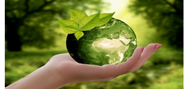 HSIE-1 Zrównoważony rozwój:  nowa księga dżungli