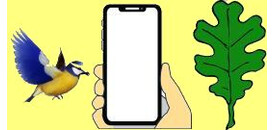 STSM-1 Terenowa edukacja przyrodnicza ze smartfonem w ręku